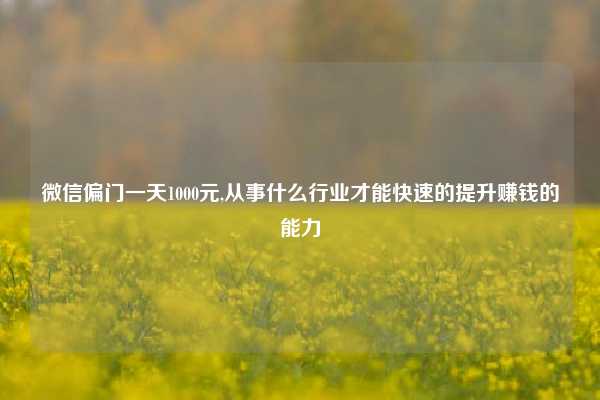 微信偏门一天1000元,从事什么行业才能快速的提升赚钱的能力