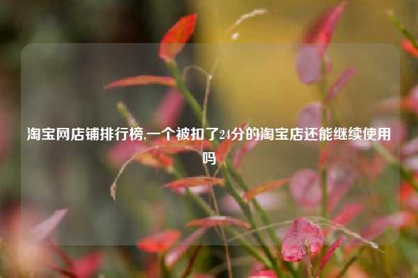 淘宝网店铺排行榜,一个被扣了24分的淘宝店还能继续使用吗