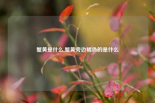 蟹黄是什么,蟹黄旁边橘色的是什么