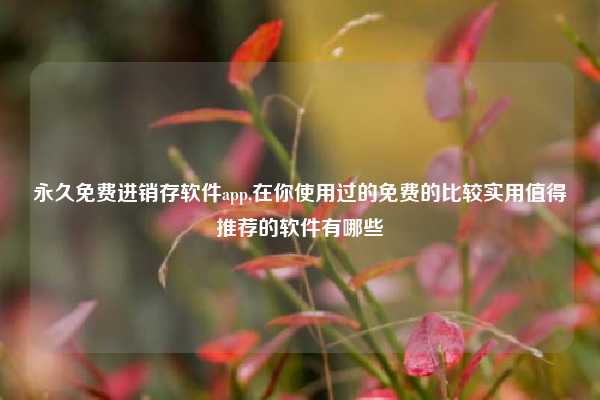 永久免费进销存软件app,在你使用过的免费的比较实用值得推荐的软件有哪些