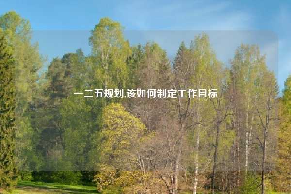 一二五规划,该如何制定工作目标