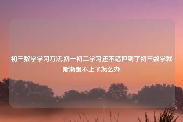 初三数学学习方法,初一初二学习还不错但到了初三数学就渐渐跟不上了怎么办