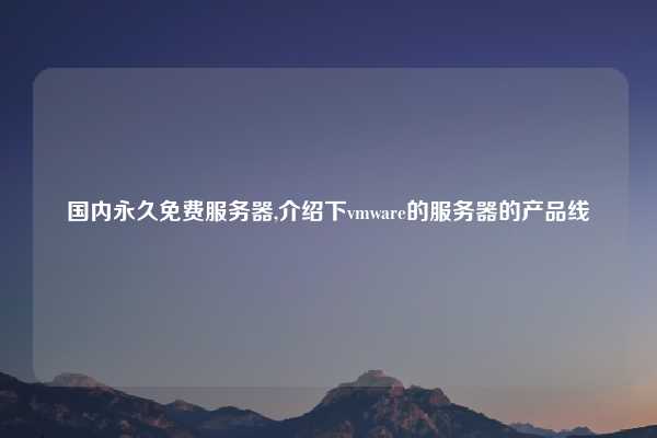 国内永久免费服务器,介绍下vmware的服务器的产品线