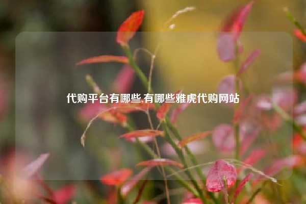 代购平台有哪些,有哪些雅虎代购网站