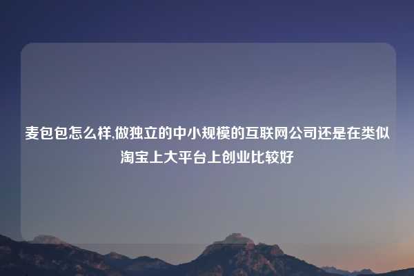麦包包怎么样,做独立的中小规模的互联网公司还是在类似淘宝上大平台上创业比较好