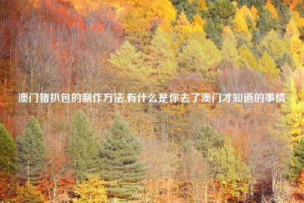 澳门猪扒包的制作方法,有什么是你去了澳门才知道的事情
