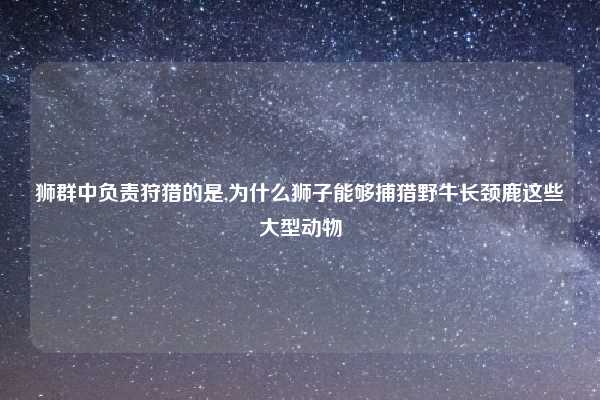狮群中负责狩猎的是,为什么狮子能够捕猎野牛长颈鹿这些大型动物