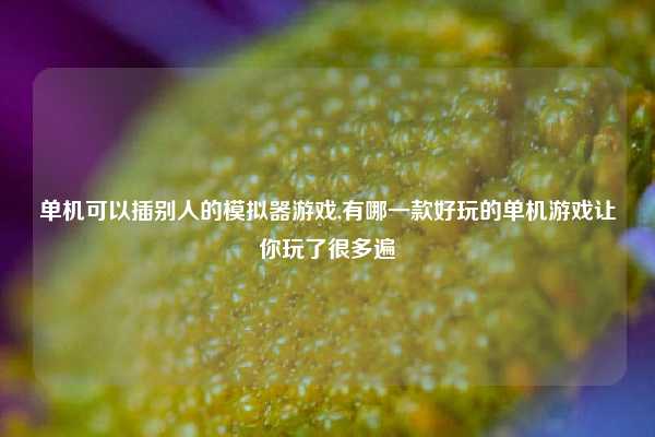 单机可以插别人的模拟器游戏,有哪一款好玩的单机游戏让你玩了很多遍