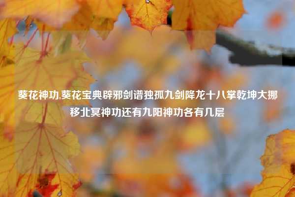 葵花神功,葵花宝典辟邪剑谱独孤九剑降龙十八掌乾坤大挪移北冥神功还有九阳神功各有几层