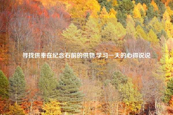 寻找供奉在纪念石前的供物,学习一天的心得说说