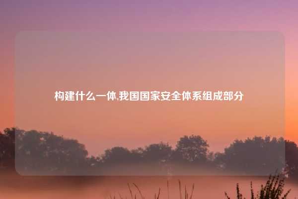 构建什么一体,我国国家安全体系组成部分