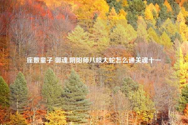 座敷童子 御魂,阴阳师八岐大蛇怎么通关魂十一