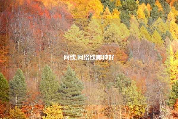 网线,网络线哪种好