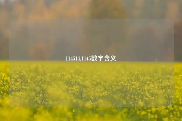 114514,1145数字含义