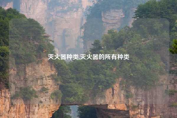 灭火器种类,灭火器的所有种类