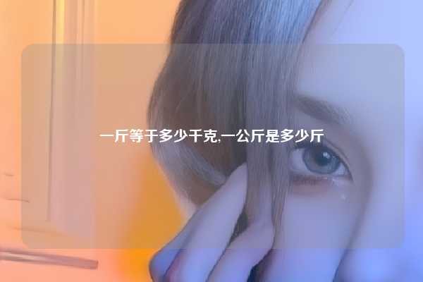 一斤等于多少千克,一公斤是多少斤