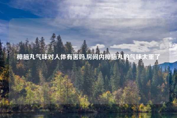 樟脑丸气味对人体有害吗,房间内樟脑丸的气味太重了