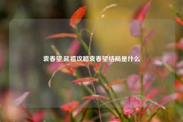 袁春望,延禧攻略袁春望结局是什么