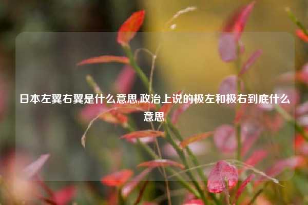 日本左翼右翼是什么意思,政治上说的极左和极右到底什么意思