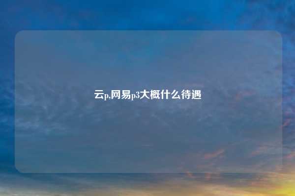 云p,网易p3大概什么待遇