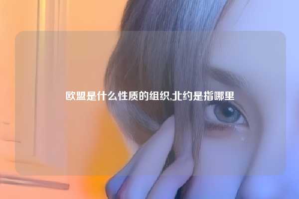 欧盟是什么性质的组织,北约是指哪里