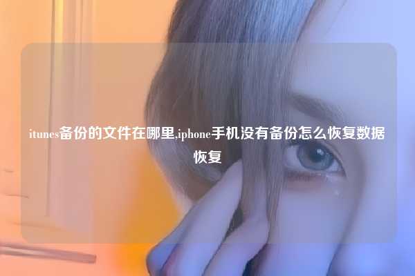 itunes备份的文件在哪里,iphone手机没有备份怎么恢复数据恢复