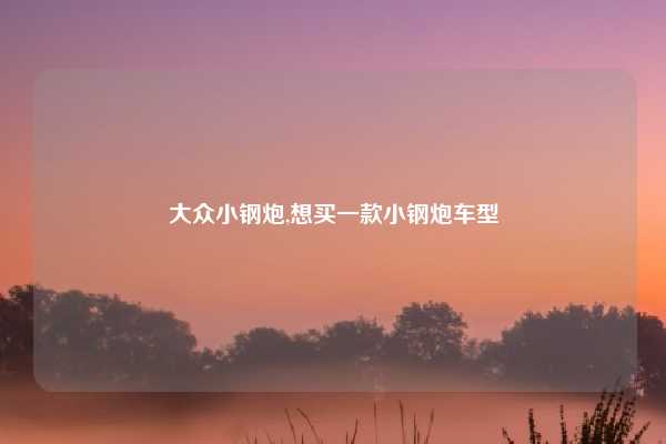 大众小钢炮,想买一款小钢炮车型