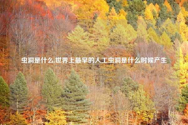 虫洞是什么,世界上最早的人工虫洞是什么时候产生