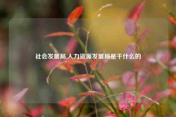 社会发展局,人力资源发展局是干什么的