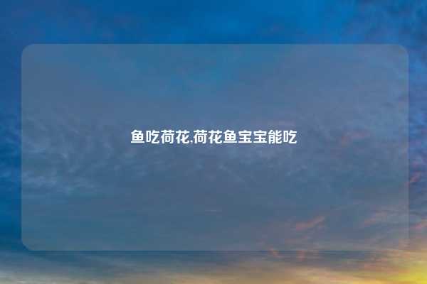 鱼吃荷花,荷花鱼宝宝能吃