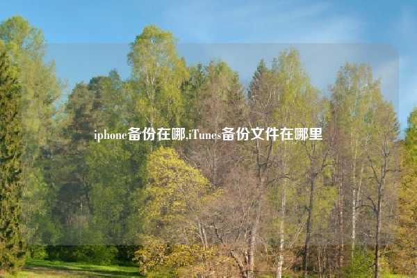 iphone备份在哪,iTunes备份文件在哪里