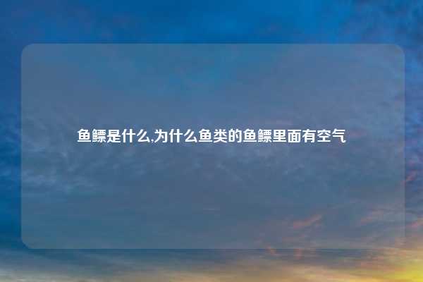 鱼鳔是什么,为什么鱼类的鱼鳔里面有空气