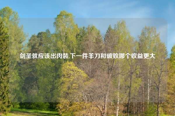 剑圣就应该出肉装,下一件羊刀和破败哪个收益更大