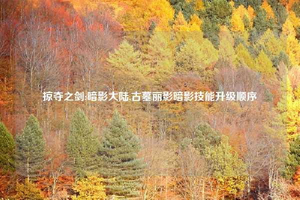 掠夺之剑:暗影大陆,古墓丽影暗影技能升级顺序