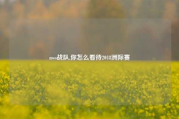 nws战队,你怎么看待2018洲际赛