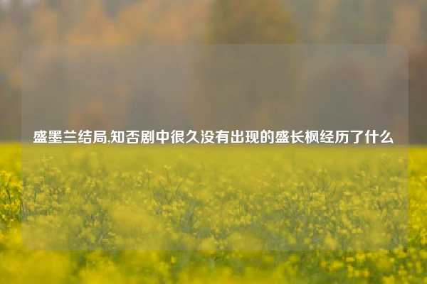 盛墨兰结局,知否剧中很久没有出现的盛长枫经历了什么