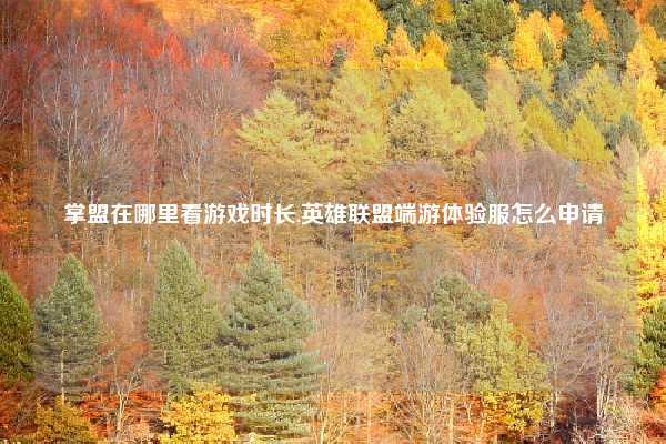 掌盟在哪里看游戏时长,英雄联盟端游体验服怎么申请