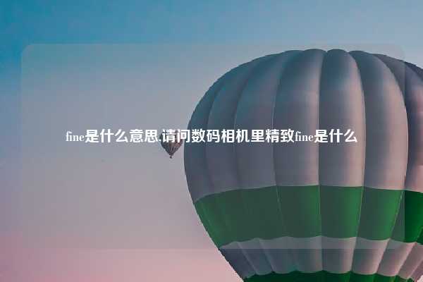 fine是什么意思,请问数码相机里精致fine是什么