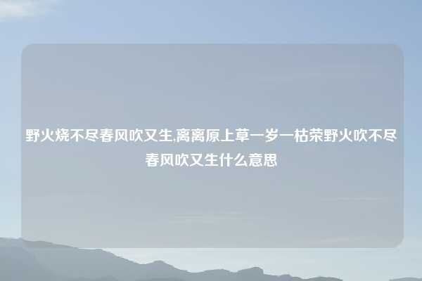野火烧不尽春风吹又生,离离原上草一岁一枯荣野火吹不尽春风吹又生什么意思