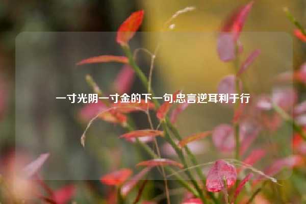 一寸光阴一寸金的下一句,忠言逆耳利于行