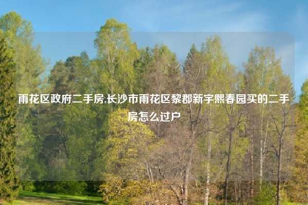 雨花区政府二手房,长沙市雨花区黎郡新宇熙春园买的二手房怎么过户