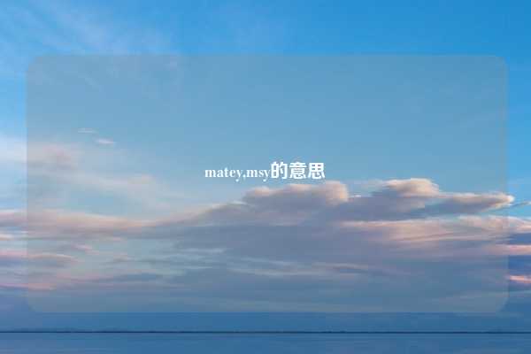 matey,msy的意思