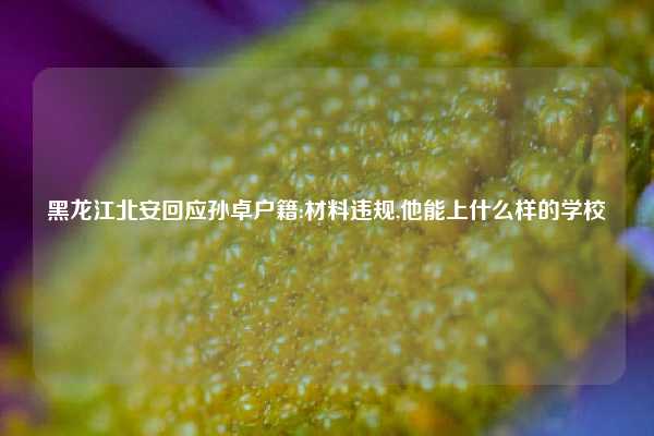 黑龙江北安回应孙卓户籍:材料违规,他能上什么样的学校