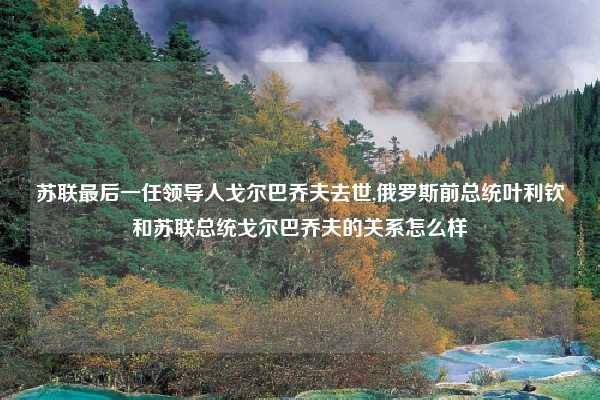 苏联最后一任领导人戈尔巴乔夫去世,俄罗斯前总统叶利钦和苏联总统戈尔巴乔夫的关系怎么样