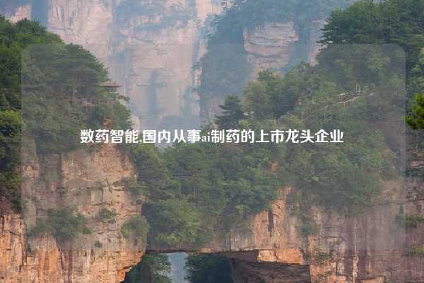 数药智能,国内从事ai制药的上市龙头企业