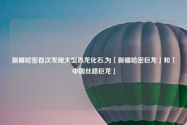 新疆哈密首次发现大型恐龙化石,为「新疆哈密巨龙」和「中国丝路巨龙」