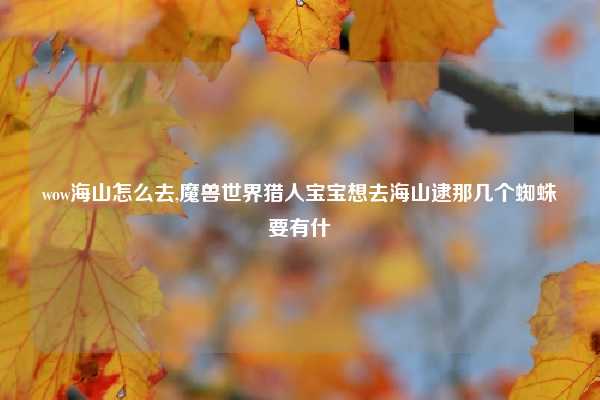 wow海山怎么去,魔兽世界猎人宝宝想去海山逮那几个蜘蛛要有什