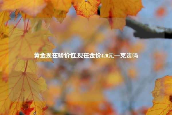 黄金现在啥价位,现在金价420元一克贵吗