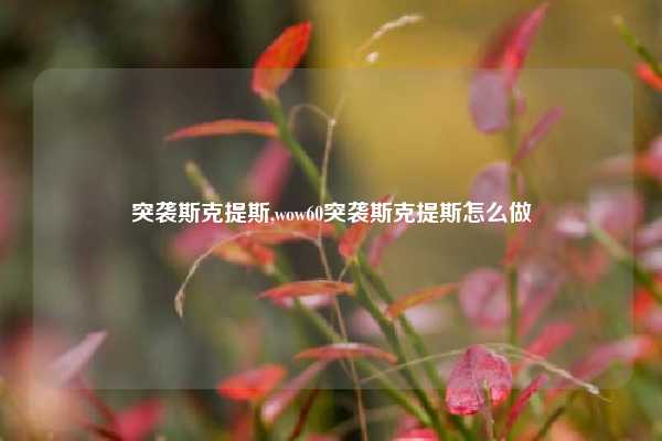 突袭斯克提斯,wow60突袭斯克提斯怎么做