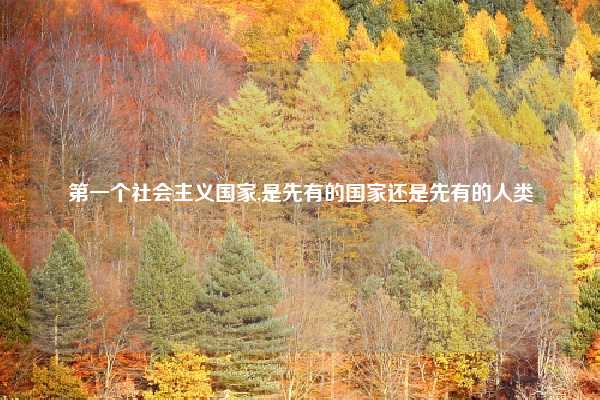 第一个社会主义国家,是先有的国家还是先有的人类